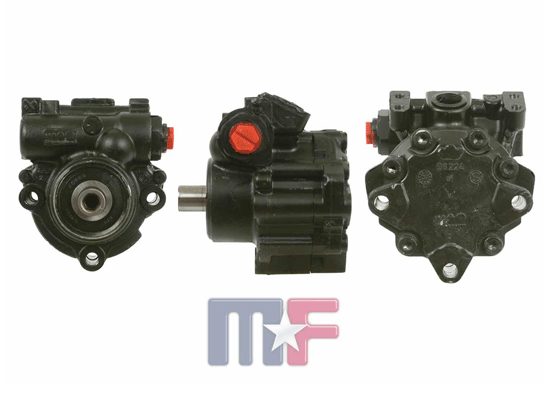 Servopumpe überholt ZF Ram 1500 02-08, Durango 2008