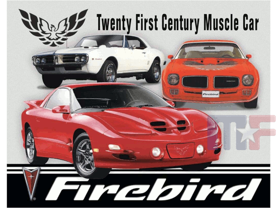 Blechschild Pontiac Firebird Tribute 16" x 12.5"