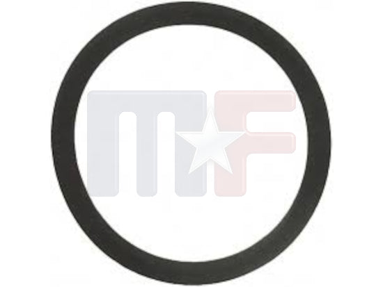 Dichtring Thermostat Chevy BB
