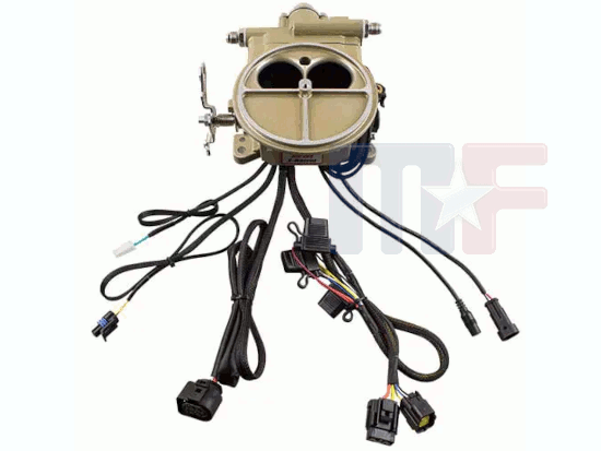 FiTech Go EFI 2BBL Classic 400 HP Einspritzanlage