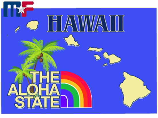 Aufkleber Hawaii 13x8,6cm