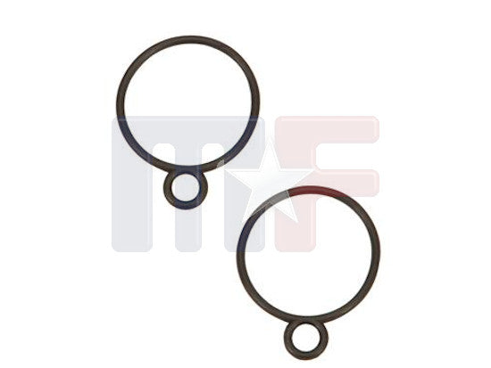 O-Ringe für Thermostatgehäuse verchromt (2Stk)