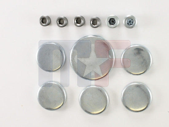 Froststopfensatz Buick V8 340-350" 66-83