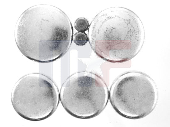 Froststopfensatz AMC 2,5L 150" 83-96