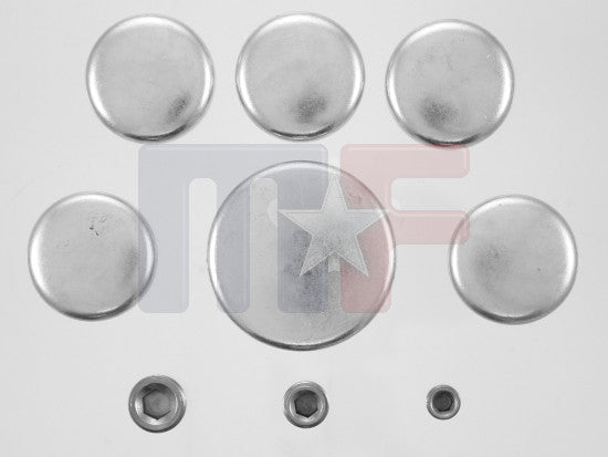 Froststopfensatz Ford V6 OHV 244" 91-96