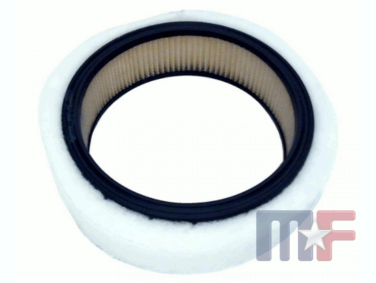 Luftfiltereinsatz GM A44856