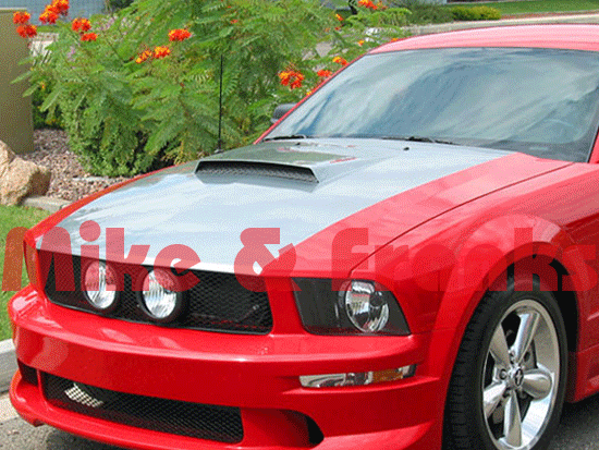 Ram Air Style Cowl Induction Stahlmotorhaube Mustang 05-09