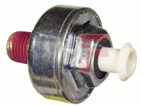 Klopfsensor 1/4" 493618
