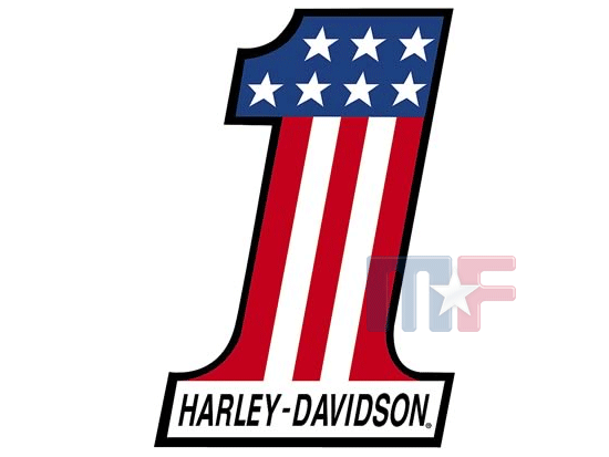 Blechschild Harley Davidson #1 12" x 18" (ca. 30,5cm x 45,7cm)