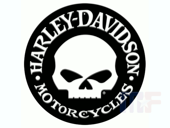 Blechschild Harley Davidson Skull 12" (ca. 30,48cm) erhaben