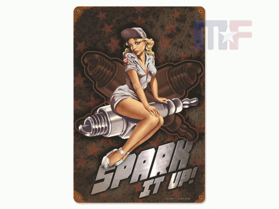 Blechschild Spark it up 12" x 18" (ca. 30,5cm x 45,7cm)